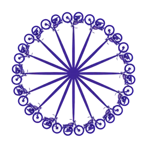 Ashoka Chakra
